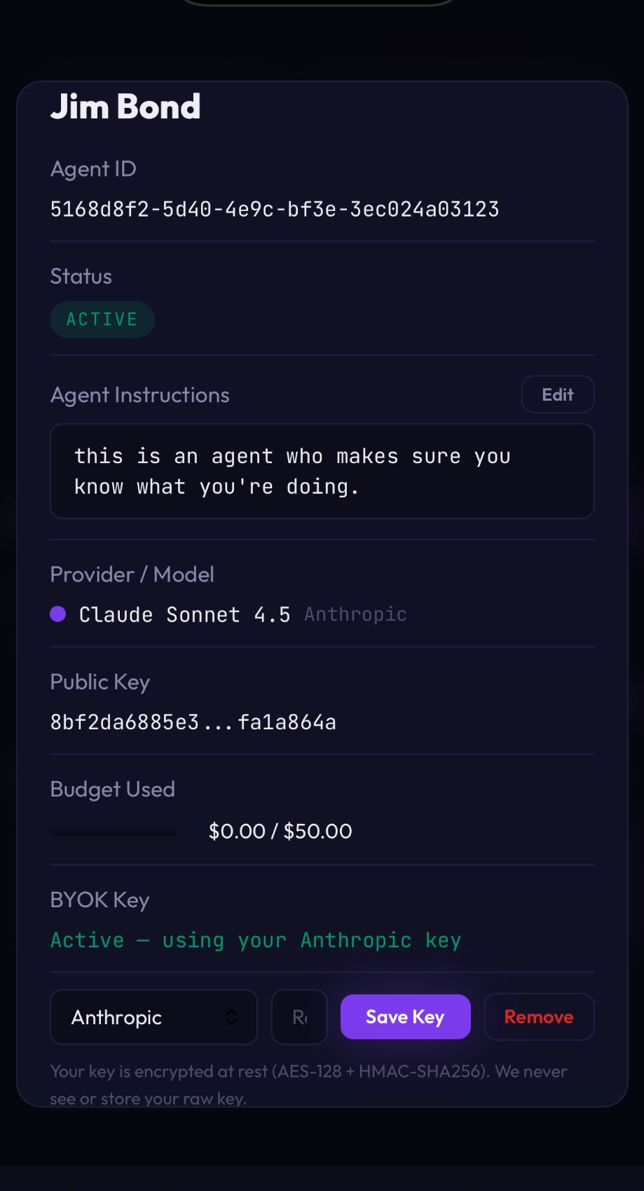 Agent Config